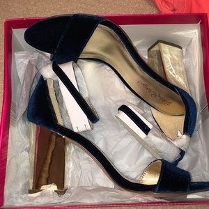 Amber lynn heel. Blue velvet block heel. NEW